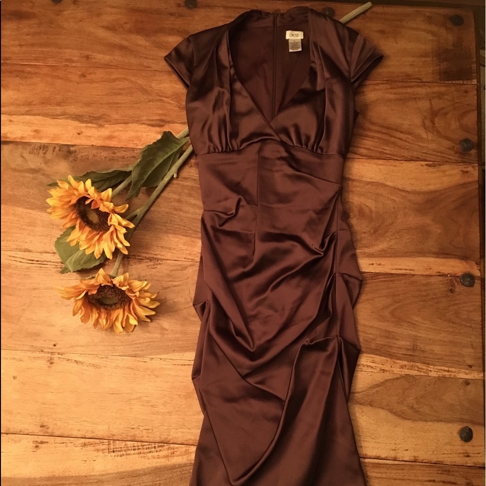 Brown Cache Dress